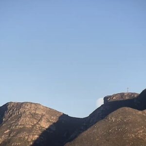 Feitlik volmaan agter ‘n skadurant